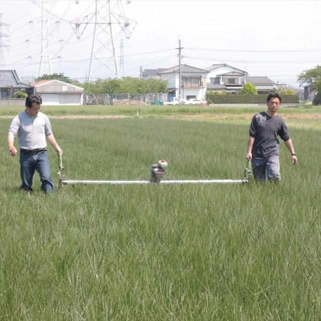 【い草-畳】イケヒコ い草ラグ グラン 黄 (191×250cm) - Image 6