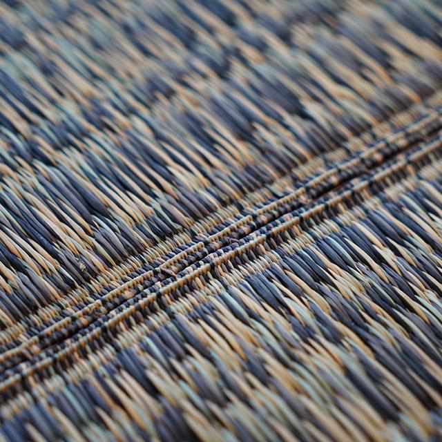 【い草-畳】イケヒコ い草ラグ カロン 黒 (M : 190×250cm, L : 190×300cm) - Image 9