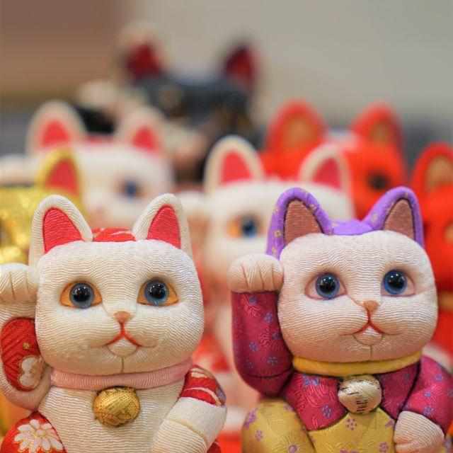 【招き猫】光彩 S | 江戸木目込み | 柿沼人形 - Image 13