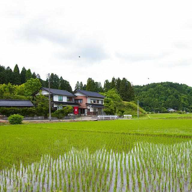 【輪島塗】楽 KOKEMUSU 漆スクリーン 山脈 B - Image 7