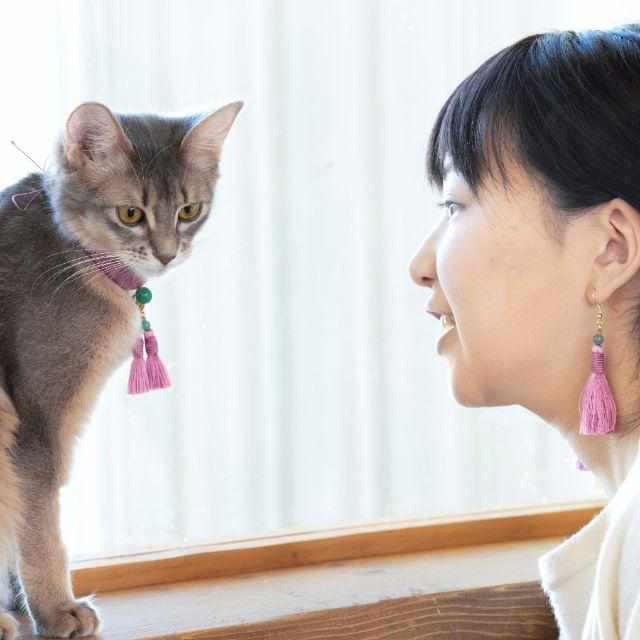 【京念珠】ねこのわ (中野伊助) 猫用ネックレス (首輪) HEIAN - Image 11