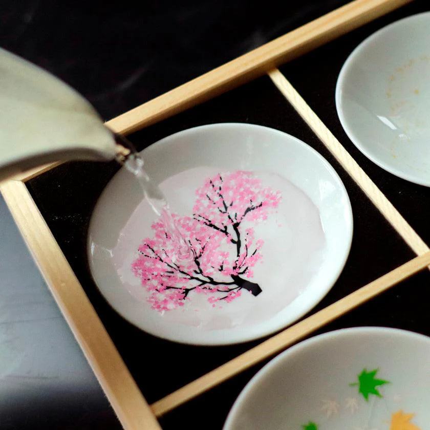 【平盃12点セット】冷感 日本伝統 | 美濃焼 | 丸モ高木陶器 - Image 6