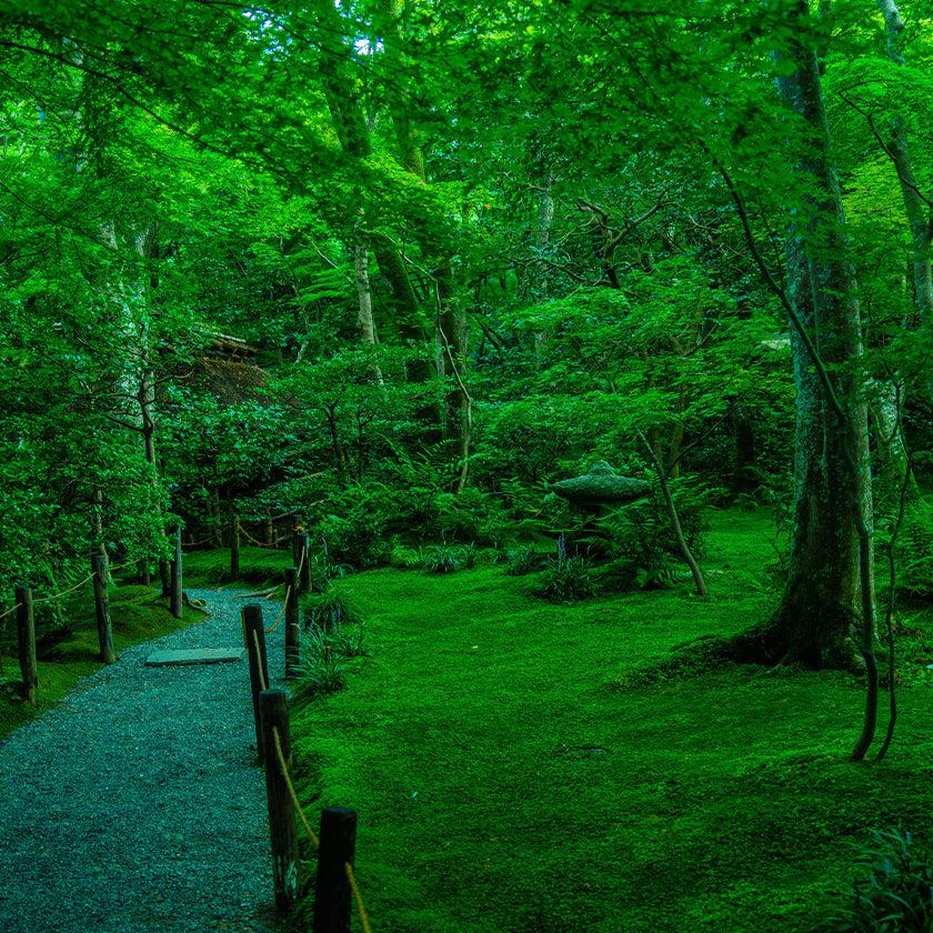 【本革キーケース】SMART MOVE! -type1 | アナログキーポケットタイプ- Calm Green (翠緑の古寺) | 革加工 | RAKUKEI - Image 12