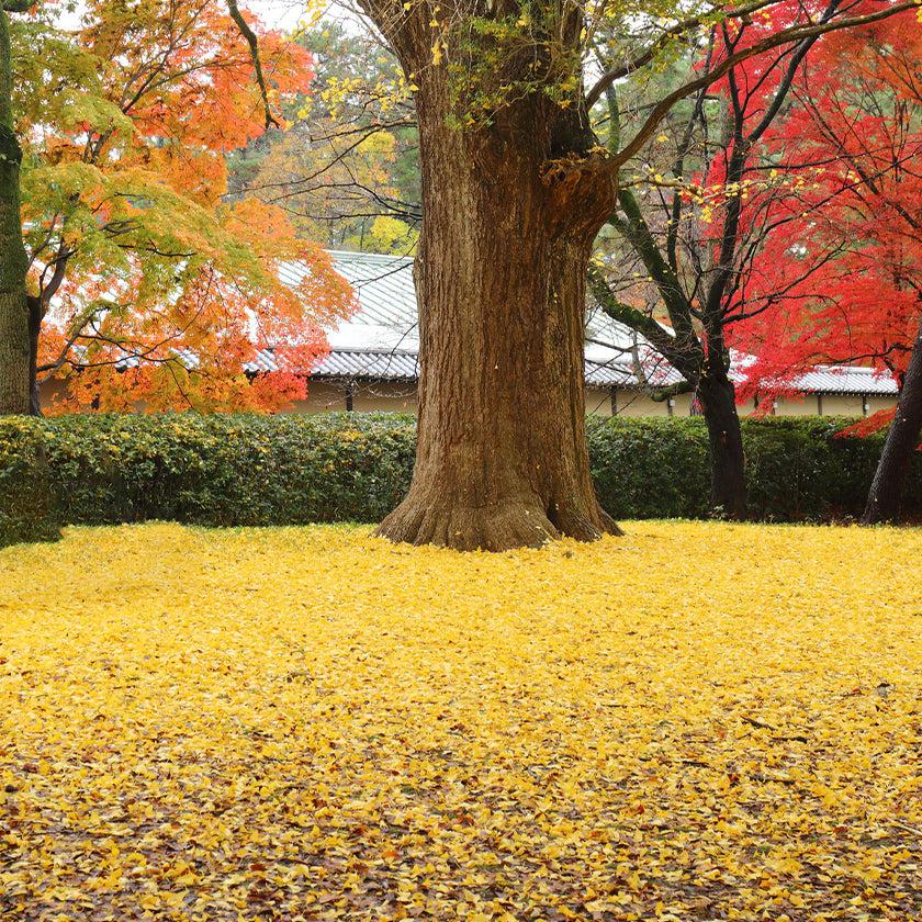 【本革キーケース】SMART MOVE! -type1 | アナログキーポケットタイプ- Amber Yellow (琥珀の街角) | 革加工 | RAKUKEI - Image 12