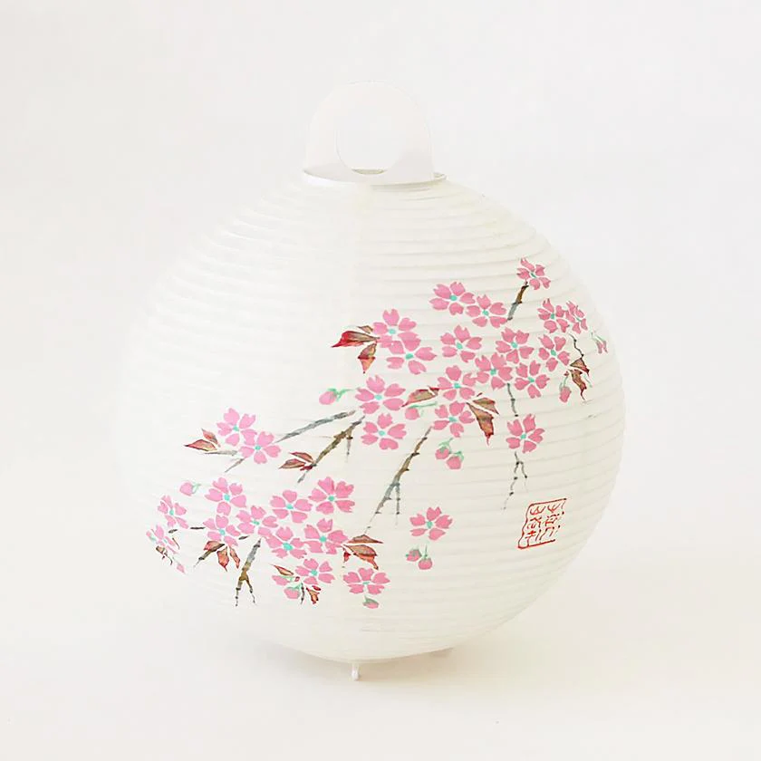 【ライト・照明】レターセット提灯 桜 | 岐阜提灯 | オゼキ - Image 5