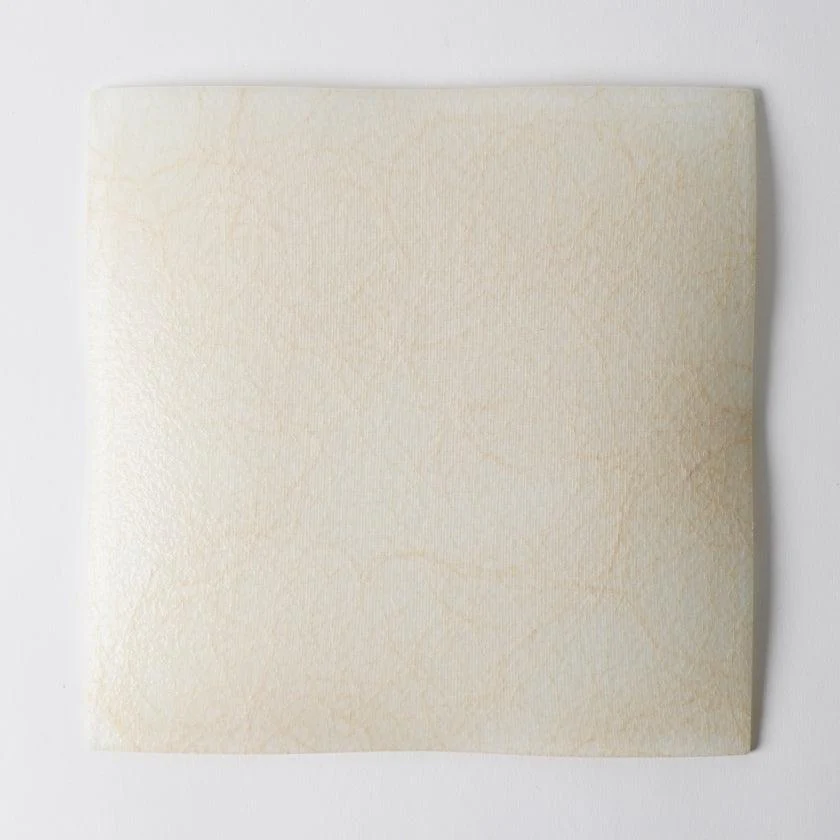 【皿2枚セット】角皿 22cm 100金 & 銀 | 西陣織 | 江村商店 - Image 9