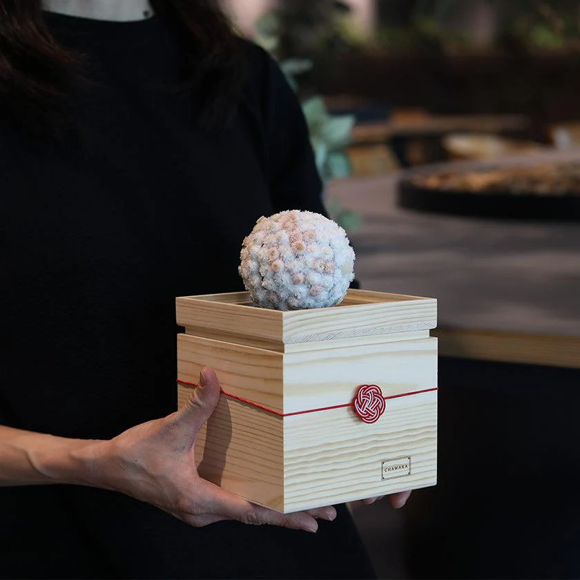 【プリザーブドフラワー】茶和花の鞠 (まり) 白梅 | 宇治茶とフラワーデザイン | 茶和花 京都宇治 - Image 4