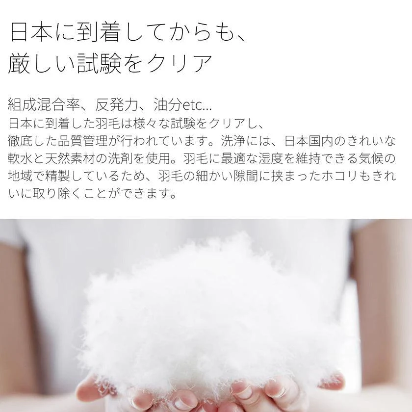 【ペット用ラウンジベッド】大切なペットのためのラウンジベッド 小型犬用 レギュラーサイズ | オーガニック製品 | AVVERA - Image 12
